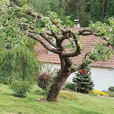 Ubytovani Iris Dolany  Buitenkant foto