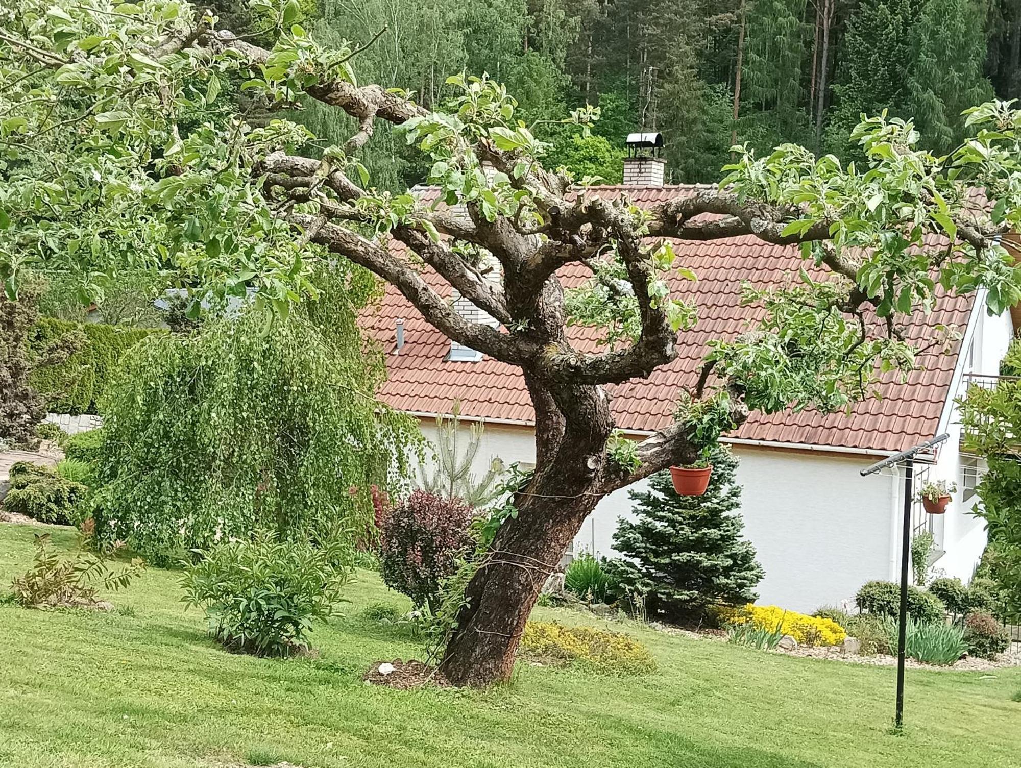 Ubytovani Iris Dolany  Buitenkant foto